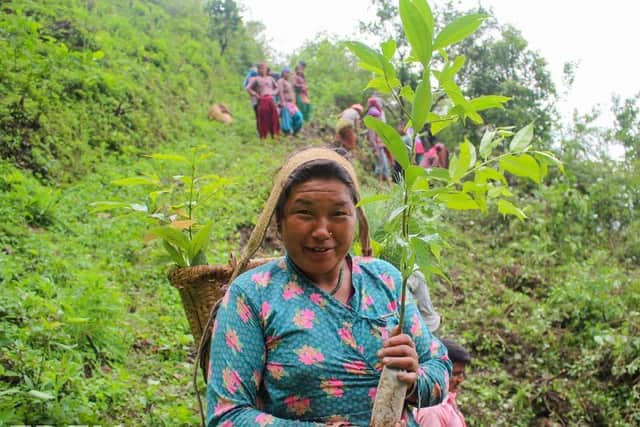 Bhima Sharu, one of the nursery directors leading the plantation activities in Nepal