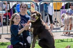 Bark In The Park will return to Tilgate Park for the fifth time next month. Picture courtesy of PCA Pet Services