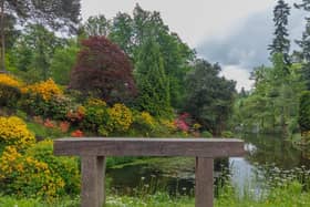 Leonardslee Lakes and Gardens by Katie's View Photography