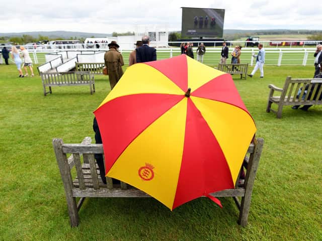 Rain at the racecourse / Picture: Malcolm Wells