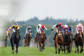 Wonderful Tonight (far left of picture) on her way to winning on Champions Day at Ascot last October / Picture: Getty