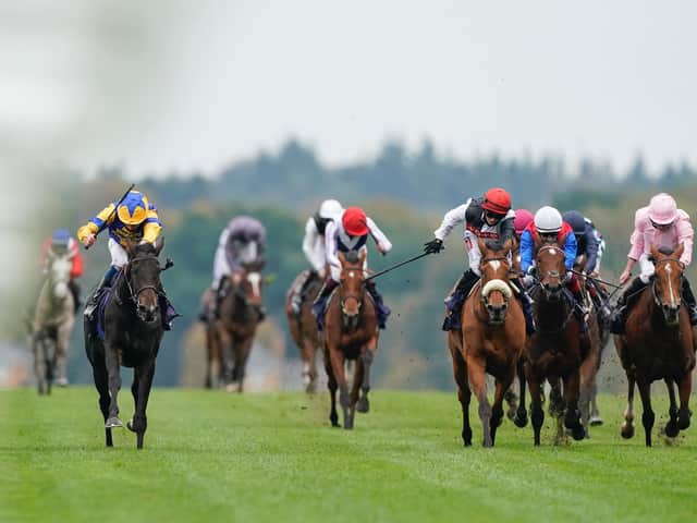 Wonderful Tonight (far left of picture) on her way to winning on Champions Day at Ascot last October / Picture: Getty