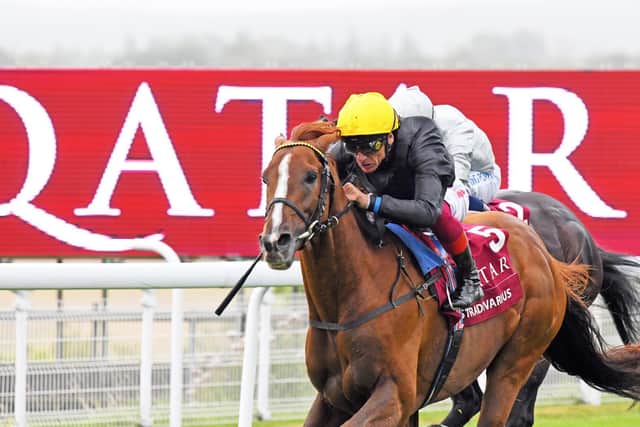 Stradivarius has won the Goodwood Cup four years in a row / Picture: Malcolm Wells