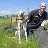 Ryan Hawkins with 13-year-old lurcher Banjo, who is waiting at Dogs Trust Shoreham for his forever home