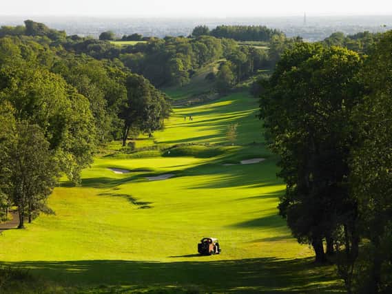 Goodwood's beautiful Downs course / Picture: Mike Cadwell