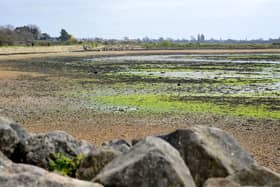 Chichester Harbour at Prinsted. Photo by Steve Robards