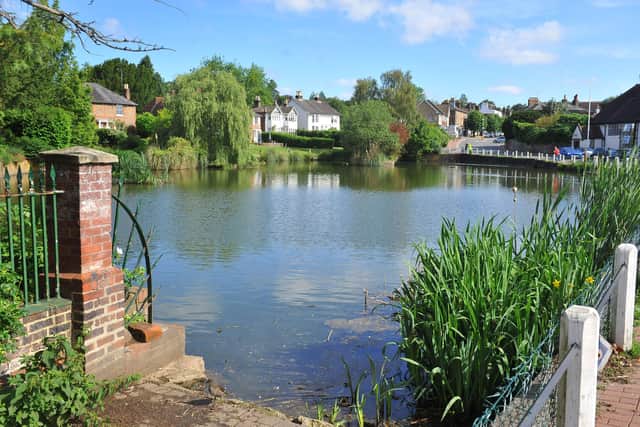 Lindfield pond. Pic S Robards SR2106244 SUS-210624-171331001