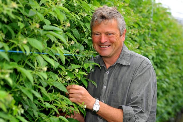 Matthew Higgs at the new 'pick your own' fruit farm near Chichester. Picture: Steve Robards SR2106211 SUS-210621-172317001