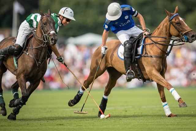 Gold Cup action - always a highlight of the polo season at Cowdray Park / Picture: Mark Beaumont