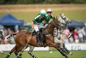 Gold Cup action at Cowdray Park / Picture: Mark Beaumont