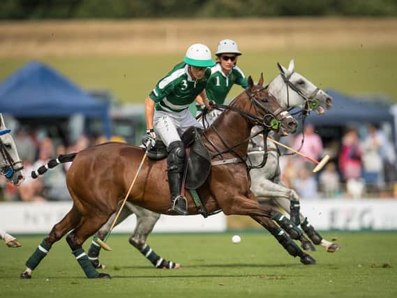 Gold Cup action at Cowdray Park / Picture: Mark Beaumont