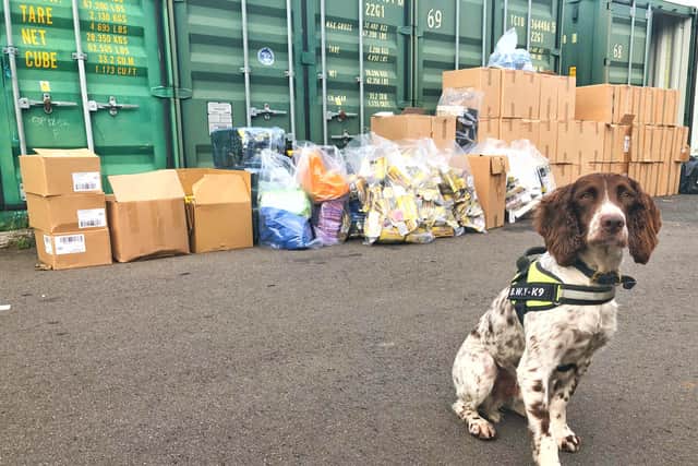 A specially trained tobacco detection dog sits in front of the largest haul of illegal tobacco discovered by East Sussex Trading Standards SUS-210629-155609001
