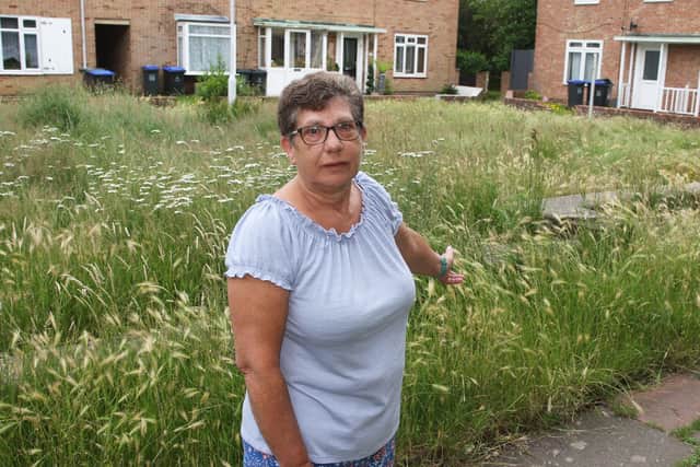 Lyn Golds by the overgrown patch of grass in Maybridge Square. Picture: Derek Martin Photography