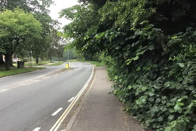 The path on Ifield Road near the Nutfield Centre where Mr Harsum said it's overgrown and dangerous for people, especially parents walking with their children or with pushchairs.