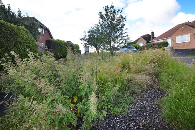 Overgrown verge in Haslam Crescent, Bexhill SUS-210607-113055001