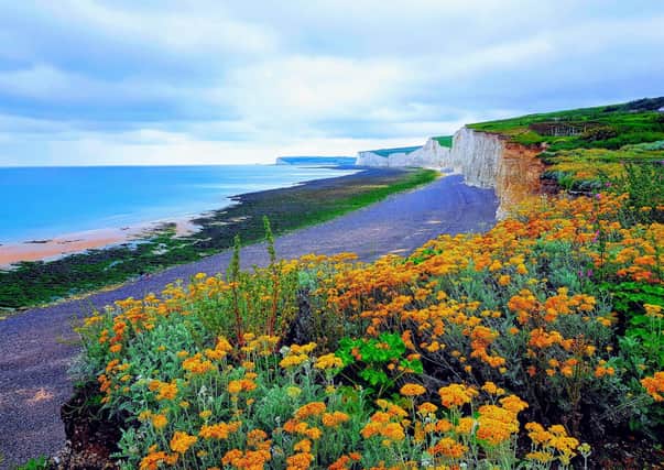 A bank of yarrow makes a pleasing foreground to this view of the Seven Sisters and Seaford Head form Birling Gap. This picture was taken by Bob Newton, with a Samsung S8 camera phone. SUS-210707-113957001