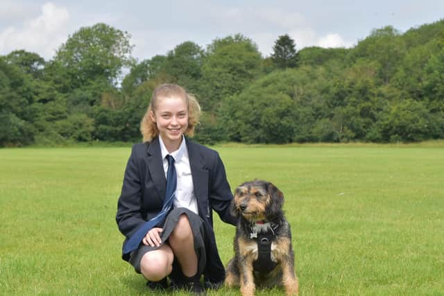 Teddy, the Holy Trinity School’s trainee therapy dog, has been awarded a Blue Peter Emblem  for helping Isabel with her vaccination fears. Picture by Kelly Virgo