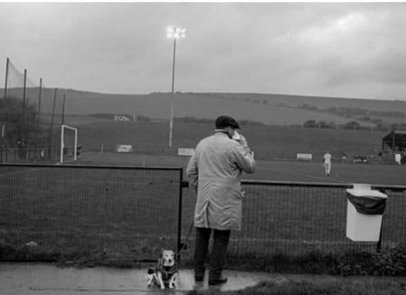 One man and his dog watch the football - another image from the book