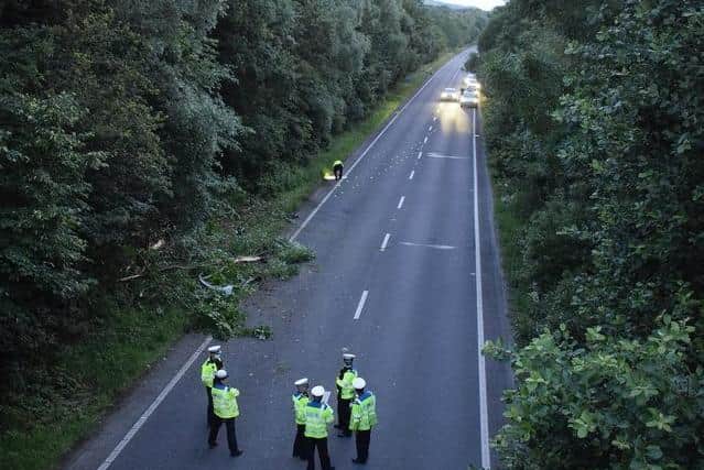 Police at the scene of the crash on July 9. SUS-210715-121331001
