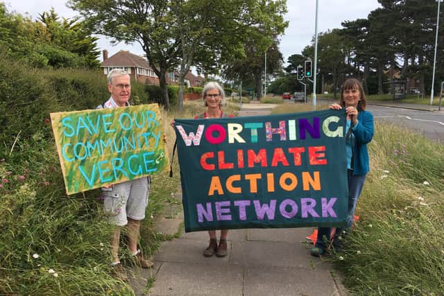 Activists fighting to save the road verge. Picture: Worthing Climate Action Network