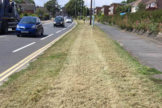 The road verge now. Picture: Worthing Climate Action Network