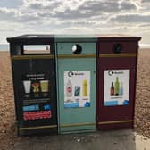 Brighton's council leader said: “There are more than 500 bins along the seafront, so there’s absolutely no excuse for leaving litter on the beach or beside an already overflowing bin."