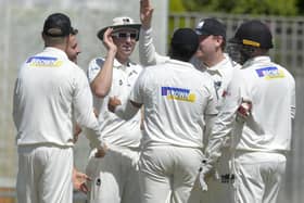 Roffey CC's Lee Harrison is congratulated on his catch off Eastbourne CC's Alex Pollard. Picture by Jon Rigby