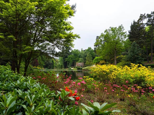 Leonardslee Gardens lake view
