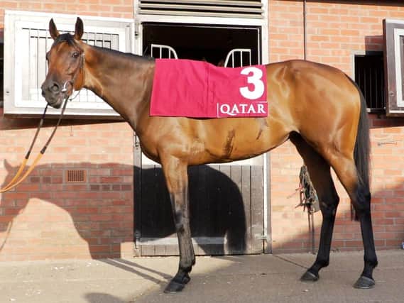 Audarya is primed for the Qatar Nassau Stakes