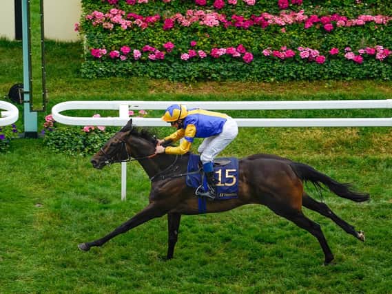 Wonderful Tonight wins at Royal Ascot / Picture: Getty