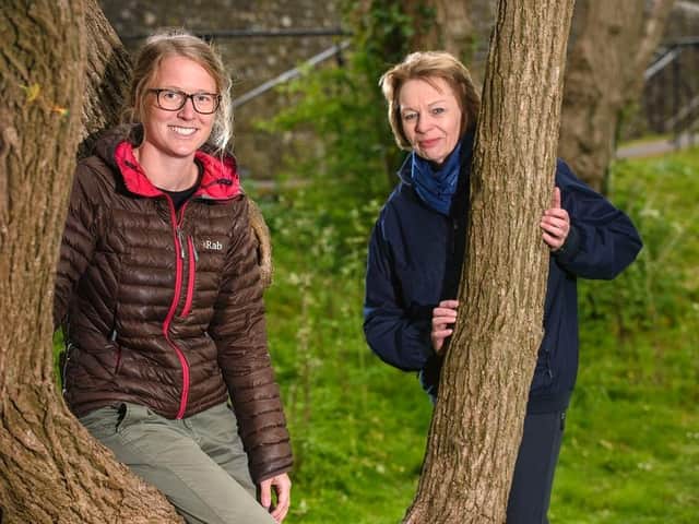 Apply for free trees to be planted in the Chichester district