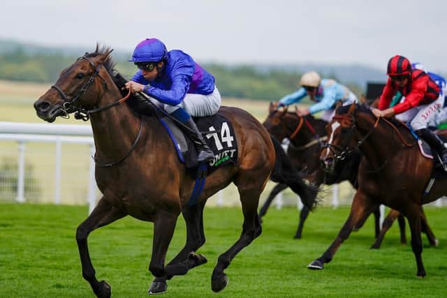 Migration takes the Unibet “You’re On” Chesterfield Cup Handicap / Picture: Getty