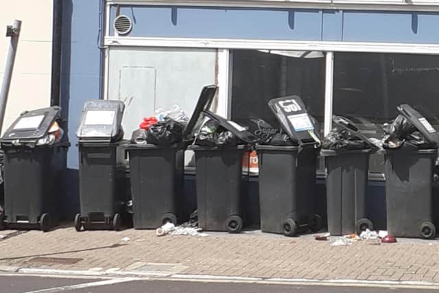 Overflowing bins in Trinity Tree, Eastbourne. Picture from Michael Browne. SUS-210728-121936001