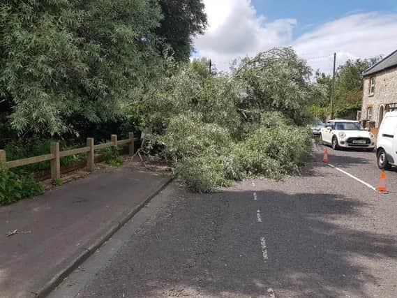 Tree down in St Pancras (Photograph: Chichester Police)