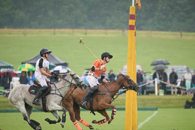 Action from the Gold Cup final at Cowdray Park / Picture: Mark Beaumont