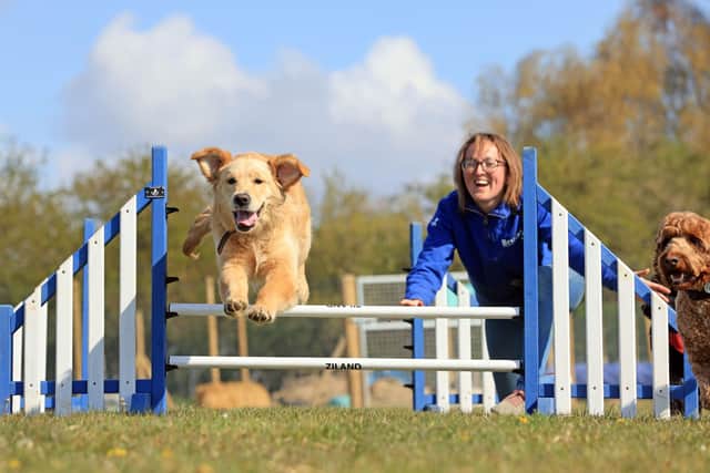 A new dog day care service is opening in Horsham