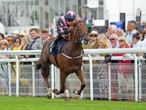 Which runners will wow the Saturday crowd at Goodwood? Picture: Malcolm Wells