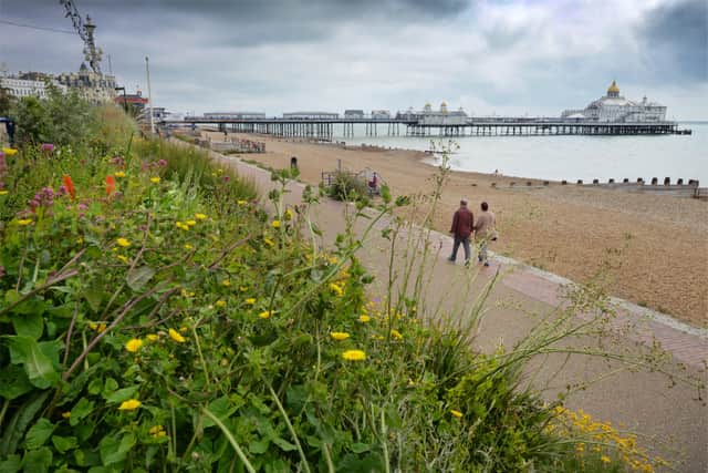 Eastbourne seafront and pier 8/7/21 SUS-210807-134152001