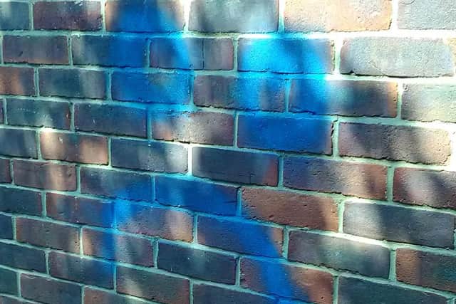 A blue aerosol can was reportedly used to vandalise a number of cars, businesses and public buildings