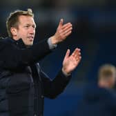 Graham Potter safely guided Brighton to 16th last season