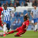 Yves Bissouma impressed for Albion last season
