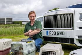 The ducks were released into their new home in the grounds of Rolls-Royce at Goodwood SUS-210817-121153001