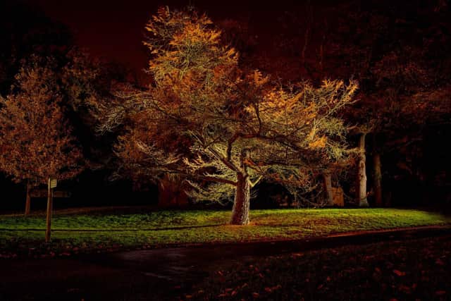 Wakehurst Kew at night Picture: Jim Holden (c)