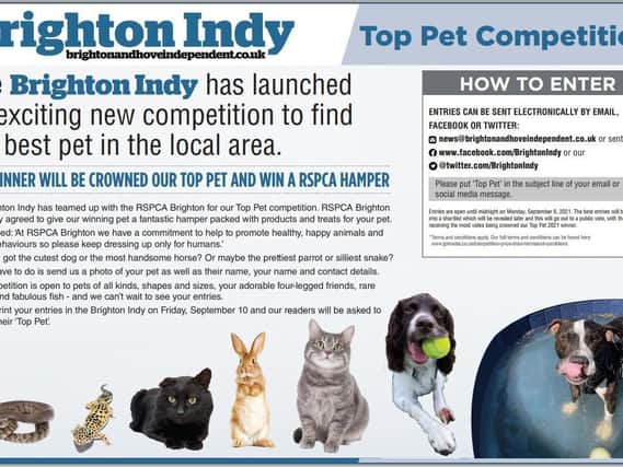 The Brighton Indy has teamed up with Brighton RSPCA for the Top Pet Competition