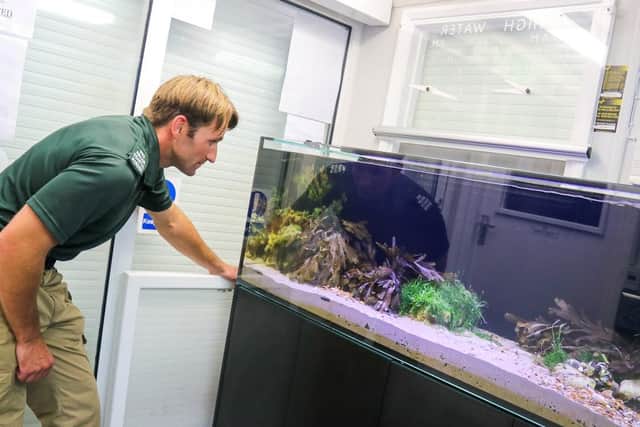 Rob Dove, senior coastal warden, looking into Rockpool Reef tank. Photo from Adur and Worthing Councils