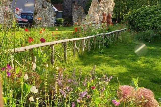 The Pollinators Garden in Mill Road, Arundel, is a stunning public space aimed at attracting bees and other pollinators to the area