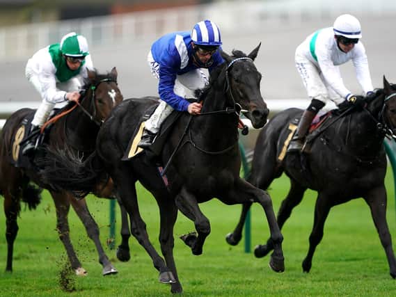 Mutasaabeq could go off favourite for Goodwood's Celebration Mile on Saturday / Picture: Getty