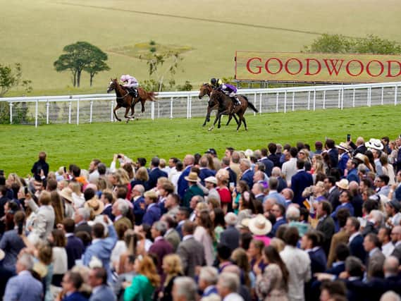 They race at Goodwood on Friday evening and on Saturday and Sunday afternoon / Picture: Getty