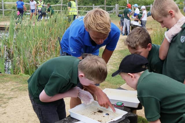 School children pond dipping. Photo by Frank Prince-Iles