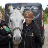 Little Bramley Horse Sanctuary. Zoe McQuade and Pat Evans with 15 year old 'Snuggles' (Photo by Jon Rigby) SUS-210831-214613008